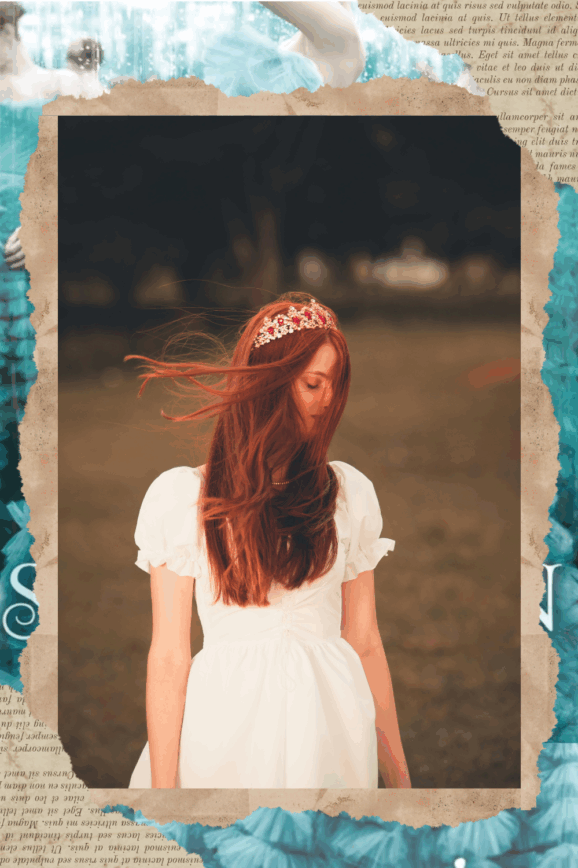 the selection book review
