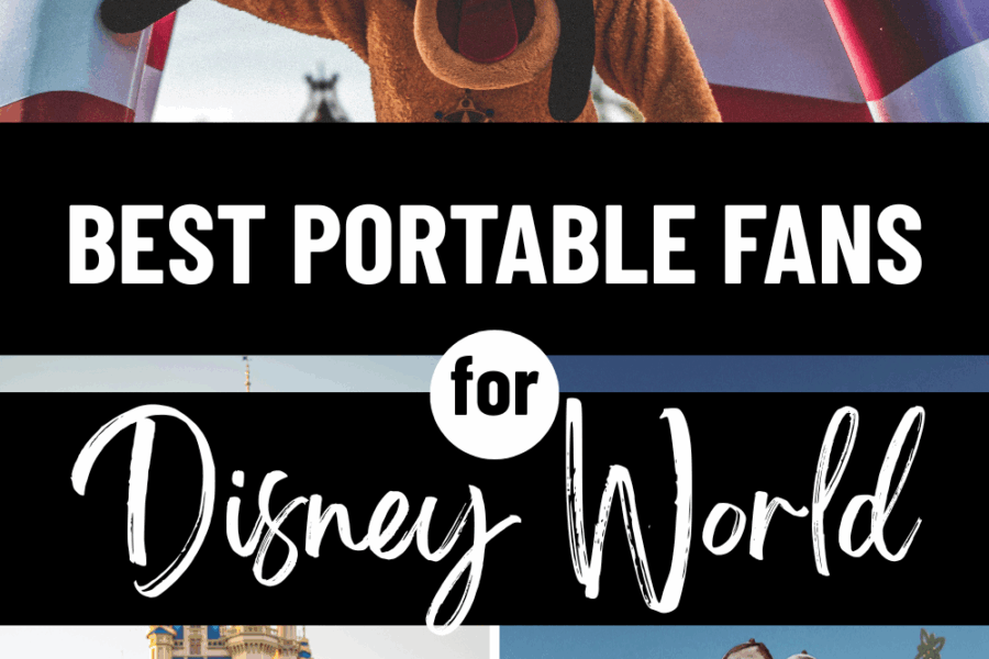 best fans for disney world