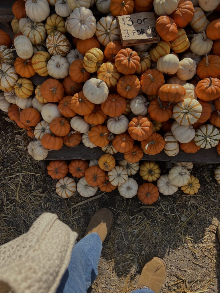 fun halloween traditions