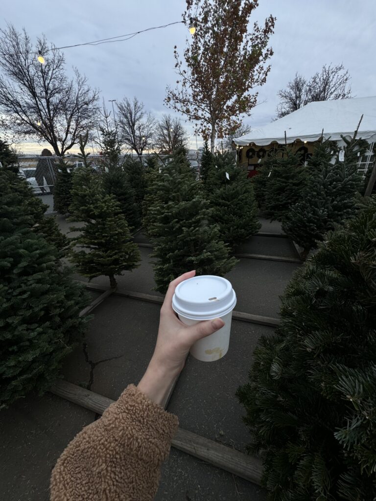 christmas traditions to start