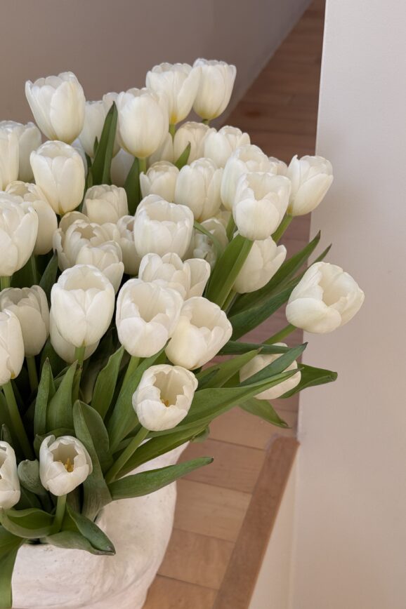 spring reset routine