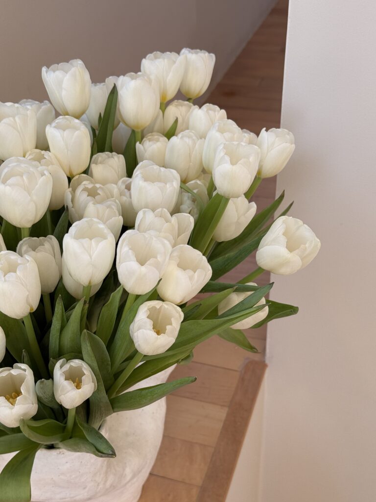 spring reset routine