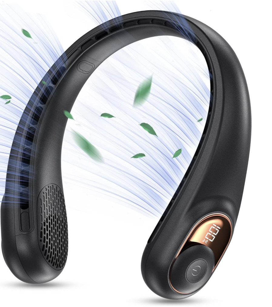 best fans for disney world