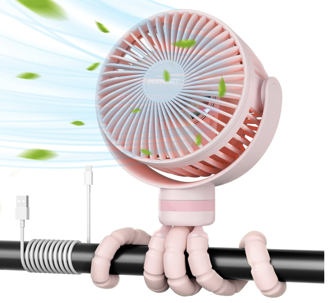 best fans for disney world