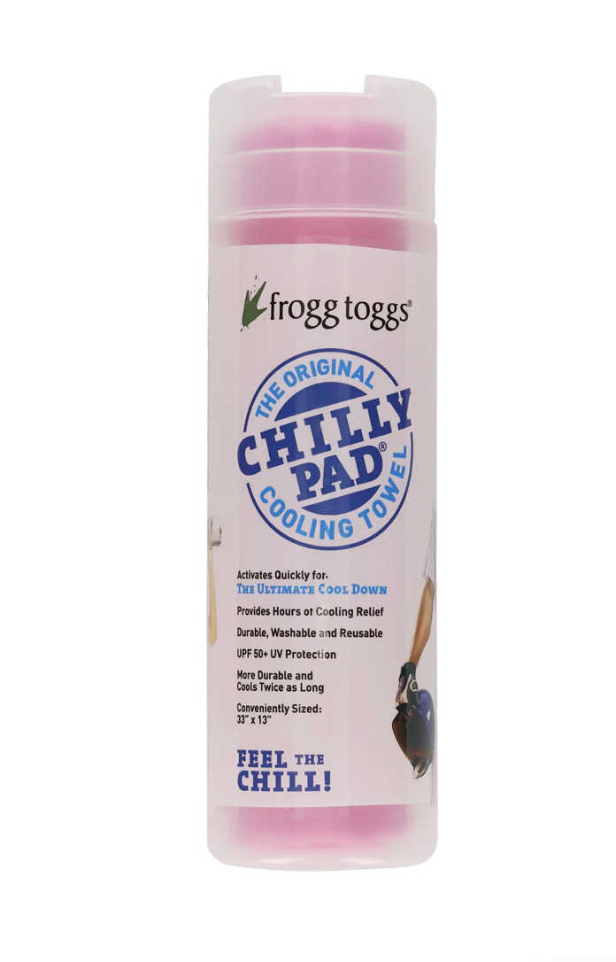 best fans for disney world