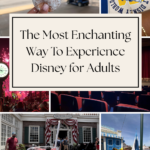 Disney as an Adult