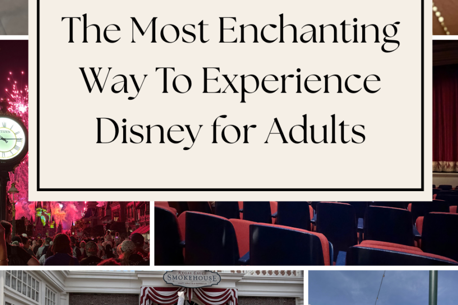 Disney as an Adult