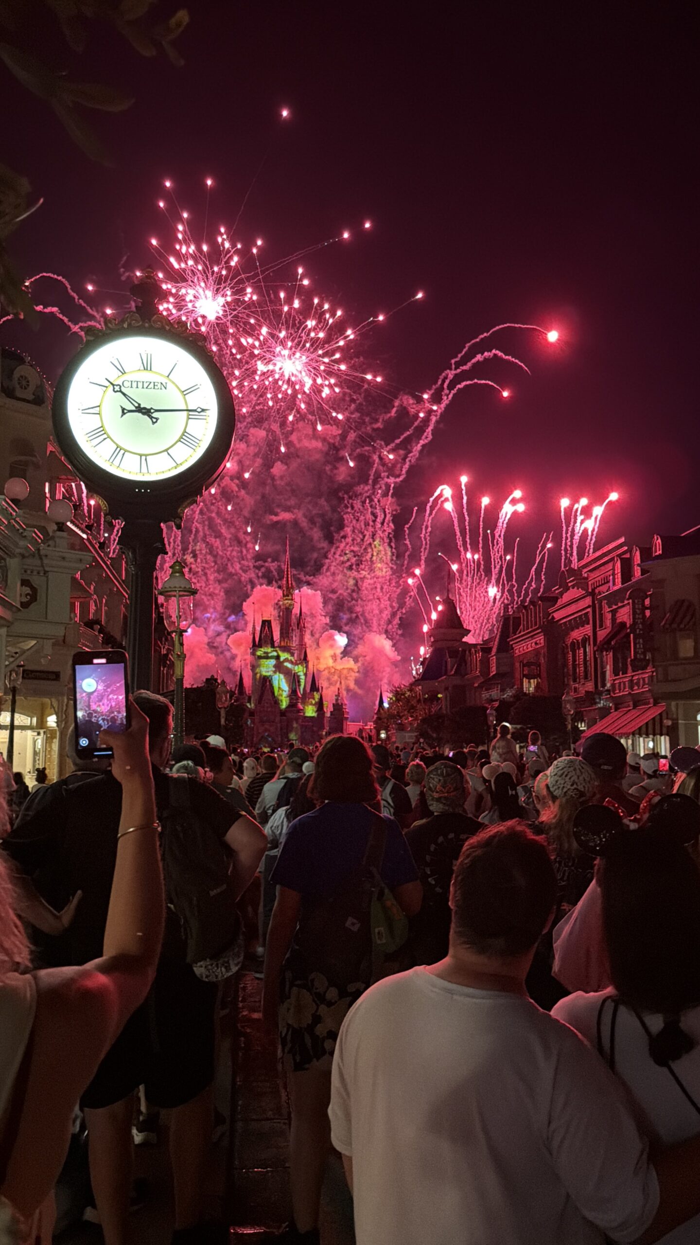 magic kingdom fireworks disney adult disney as an adult