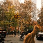 fall traditions